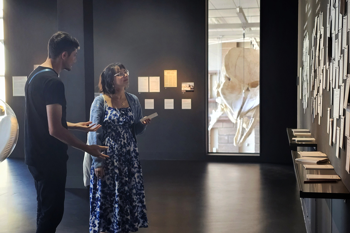 Forum Wissen Führungen in verschiedenen Sprachen / Guided tours in